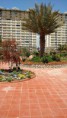 /album/fotogalerij-fotogalerij-apartement-omgeving/img-20160427-121320787-jpg/